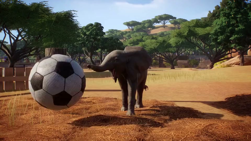 Planet Zoo