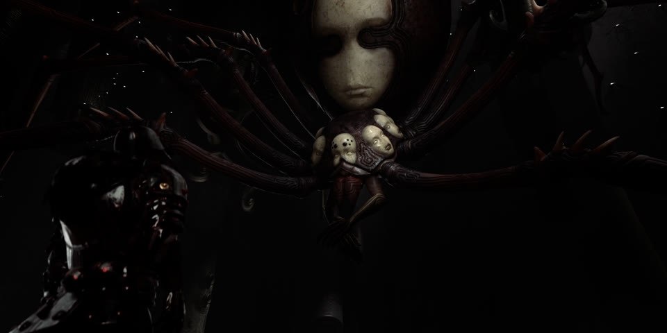 Spider